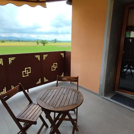 Cjargnei Отель типа 