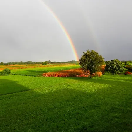 Cjargnei Отель типа 